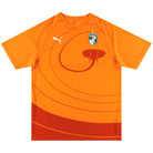 2012-13 Ivory Coast Puma Sample Home Shirt *As New* L Football Shirt