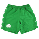 2019-20 Panathinaikos Kappa Kombat Home Shorts *As New* M Football Shorts