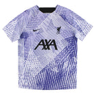 2022-23 Liverpool Nike Pre-Match Shirt L Training Shirt