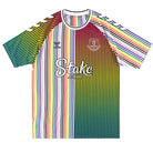 2023-24 Everton Hummel Equality Limited Edition Shirt *As New* L Football Shirt