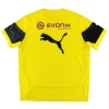 2014-15 Borussia Dortmund Training Shirt XL