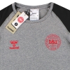 Бесшовная футболка Дания Hummel PRO 2022 *BNIB* L