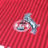 2023-24 FC Köln Hummel Auswärtstrikot *BNIB*