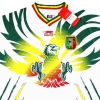 Camiseta de local de la Copa Mali Airness 2024 *BNIB* XL